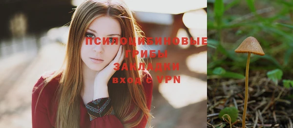 сатива Абинск