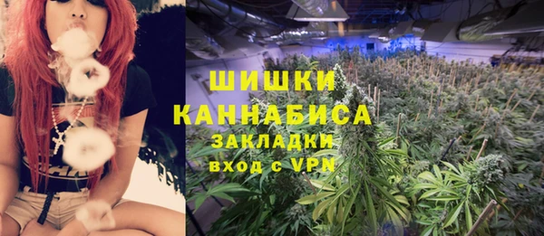 сатива Абинск