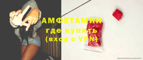 сатива Абинск