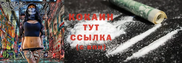 сатива Абинск