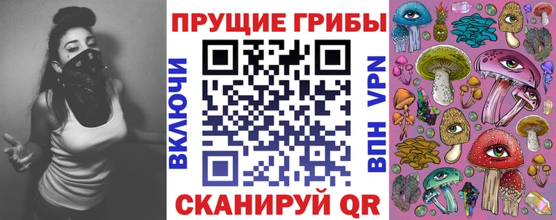 магазин    Канск  Псилоцибиновые грибы Cubensis 